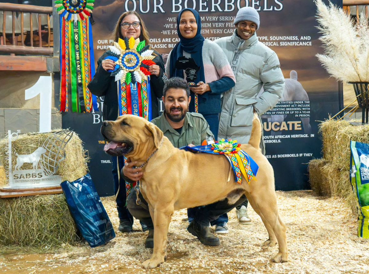 Free State Breeder Breeds Champion Boerboel 